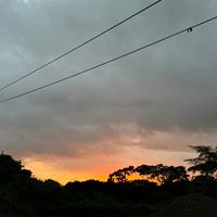 mar_gon87