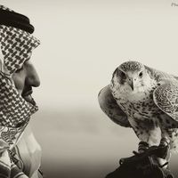 الصوت الأصلي