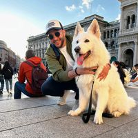 الصوت الأصلي