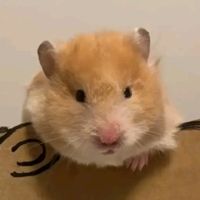 原聲 - 茶香茶飲生活