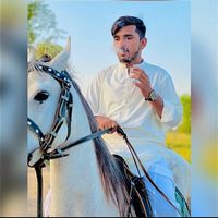ch.ali2929