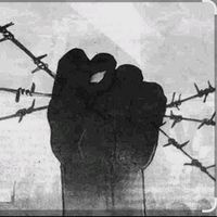ali.asaf_aktar
