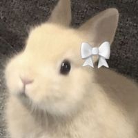 yutan._.222