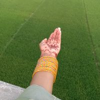 queen_borsha1