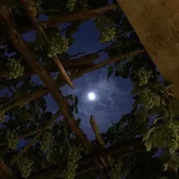 الليل وسماه