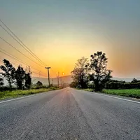 original sound - survey438