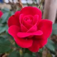 original sound - nkaujxyahli007