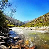 original sound - .luis_av