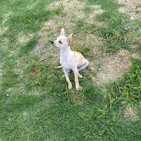 ana_tocaboca4526525