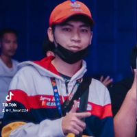 f_fexa1224