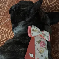 original sound - prv.nah3