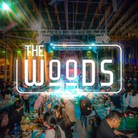 original sound - The WOODS