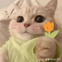 nhạc nền - Acc phụ  Văn Hậu