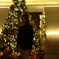 stella_12331