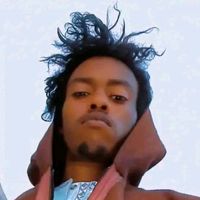 wiledfaya.wiledanakaza