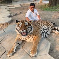 afsal_339
