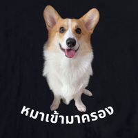 google.corgi
