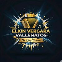 elkinvergaravallenato