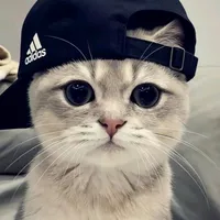 original sound - xk_crt09