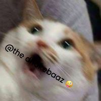 the_dhokebaaz