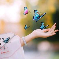 butterflyn454