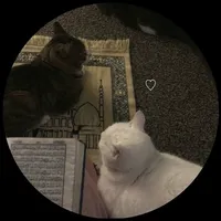 original sound - hassan_typest.1