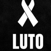 rainhajoseneto0