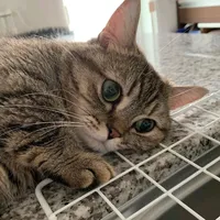 jatuh cinta di umur 20 an