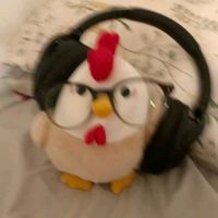 suara asli - Boy maulanaaaaaaaaaaaaaaaaaaaa