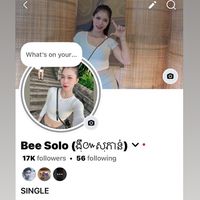 beesolo18