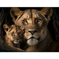 batalhas.de.live.oficial