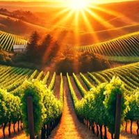 original sound - .💜SJ CREATION💜.