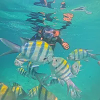 original sound - bro_lesmanan