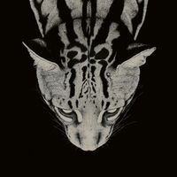 suara asli - V7 ZycanX