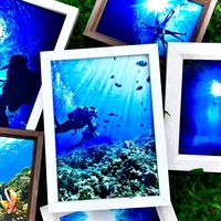 オリジナル楽曲 - 沖縄バルフィールド🤿🏝️Bal Field