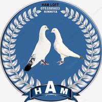 hamloft03