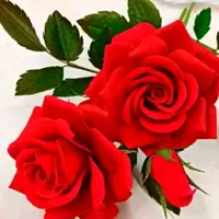 original sound - love.123470