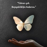 fanidunyam0_