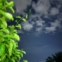 pranpriya2712