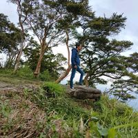 bunyi asal - 🇲🇾Jiwa Indie🇵🇸