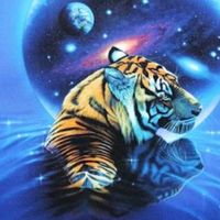 オリジナル楽曲 - ⋆꧁⋆  SIN  ⋆꧂⋆