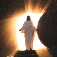 biruk501