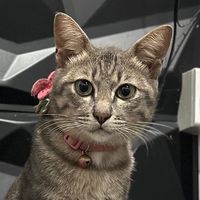 salmon.cuteboy