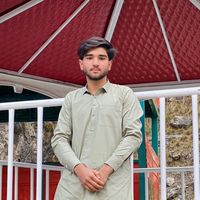 syedmehdijan