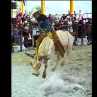 arturo3.7.6