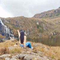 nnohemy_cyv