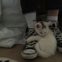 nana.05036