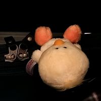 オリジナル楽曲 - takpj.