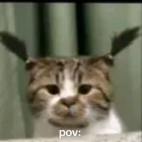 5il_x6