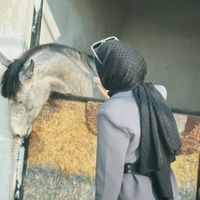 medine.0076